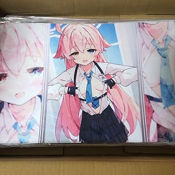 α1 ブルアカ ピース&ボロボロ 小鳥遊ホシノ スリーブ&プレイマット Amazon.co.jp: α1 ブルアカ ボロボロ&ピ ース 小鳥遊ホシノ